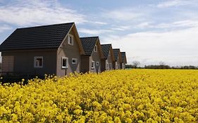 Domki Weekend
